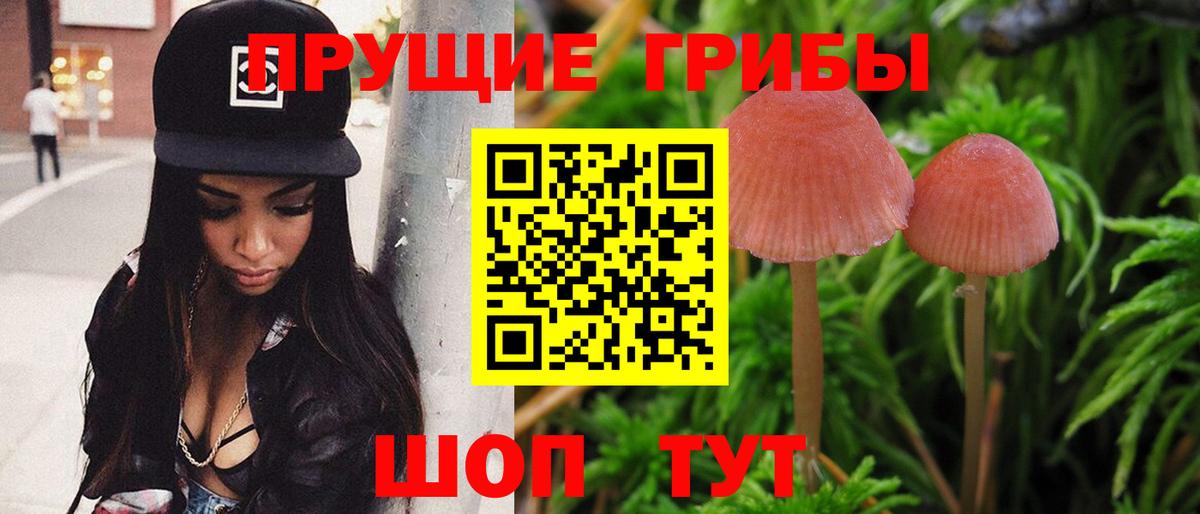 Галлюциногенные грибы Psilocybine cubensis  Вход с VPN  Балабаново  Галлюциногенные грибы MAGIC MUSHROOMS 